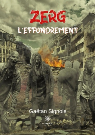 gaetan-signole-zerg-l-effondrement_0