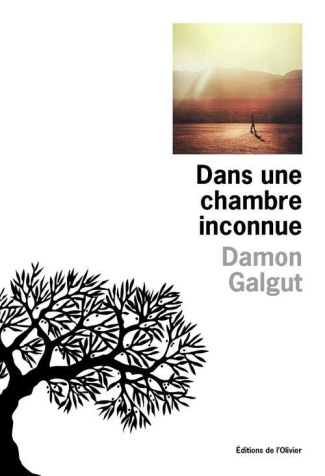 galgut-damon-3b-papot-helene-dans-une-chambre-inconnue_0