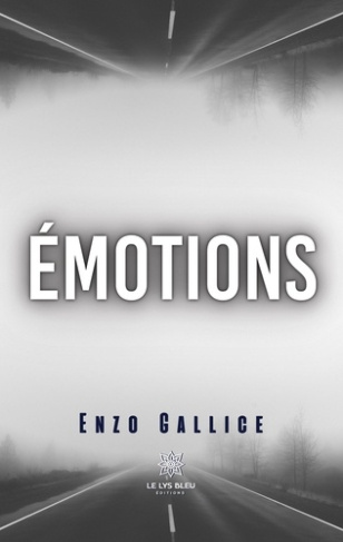 gallice-enzo-emotions_0