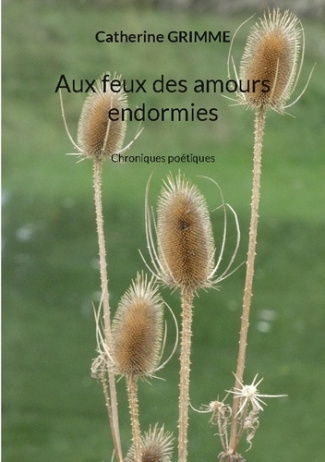grimme-catherine-aux-feux-amours-endormies-chroniques-poetiques_0