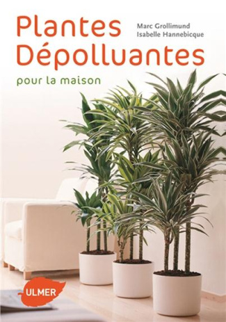 grollimund-marc-3b-hannebicque-isabelle-plantes-depolluantes-pour-la-maison_0