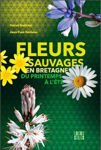guirriec-herve-3b-kerhoas-jean-yves-fleurs-sauvages-en-bretagne-fleurs-de-l-arree-du-printemps-a-l-ete_0