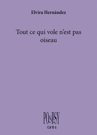 hernandez-elvira-santa-cruz-guadalupe-decante-pajaros-desde-mi-ventana-oiseaux-depuis-ma-fenetre_0