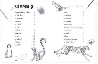 hodge-susie-3b-gray-peter-j-apprends-a-dessiner-les-animaux_0