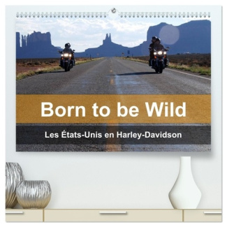 kaercher-mike-born-to-be-wild-etats-unis-en-harley-dav-les-magnifiques-paysages-du-su_0