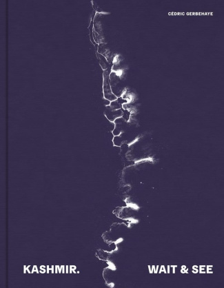 kashmir-wait-and-see_0