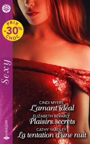 l-amant-ideal-plaisirs-secrets-la-tentation-d-une-nuit_0