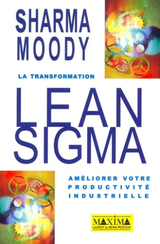 la-transformation-leansigma-ameliorer-votre-productivite-industrielle_0