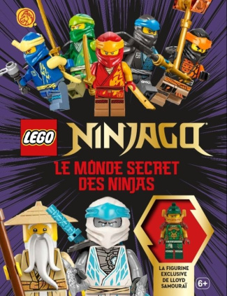 last-shari-lego-ninjago-la-voie-du-ninja-nouvelle-edition_0