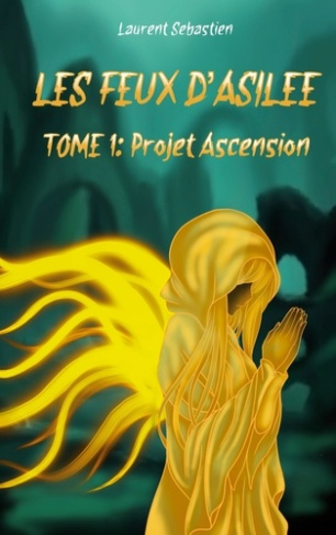 laurent-sebastien-les-feux-d-asilee-projet-ascension_0