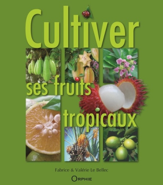 le-bellec-fabr-cultiver-ses-fruits-tropicaux_0