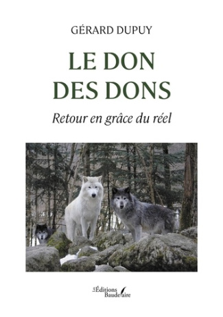 le-don-des-dons-retour-en-grace-du-reel_0