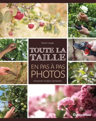 le-page-rosenn-toute-la-taille-en-pas-a-pas-photos-ornement-fruitiers_0