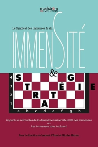 le-syndicat-des-imme-immensite-strategie-le-syndicat-des-immenses_0