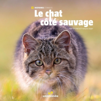 leger-francois-brunet-joel-le-chat-cote-sauvage_0