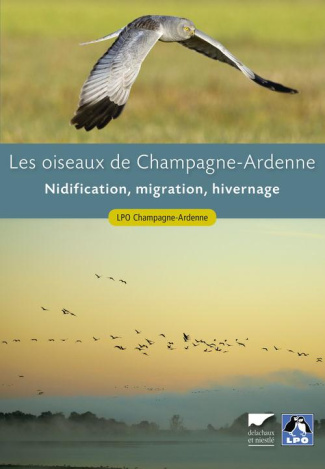 lpo-champagne-ardenn-les-oiseaux-de-champagne-ardenne-nidification-migration-hivernage_0