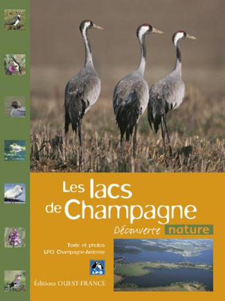 lpo-collectif-les-lacs-de-champagne_0