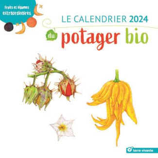 magnan-mathilde-3b-mathias-xavier-le-calendrier-du-potager-bio-fruits-et-legumes-extraordinaires-edition-2024_0