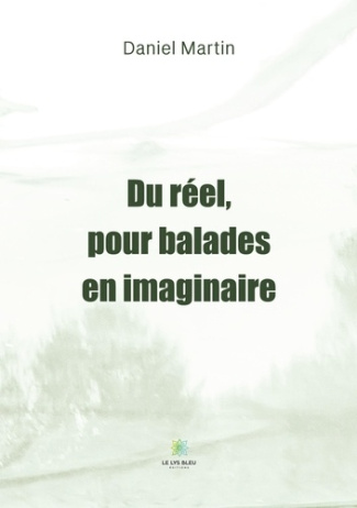 martin-daniel-du-reel-pour-balades-en-imaginaire_0