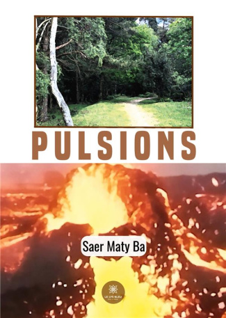 maty-ba-saer-pulsions_0