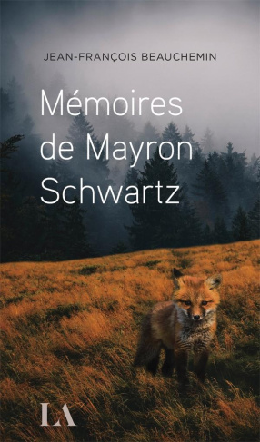 memoires-de-mayron-schwartz_0