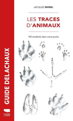 morel-jacques-3b-hainard-robert-les-traces-d-animaux-100-vertebres-dans-votre-poche_0