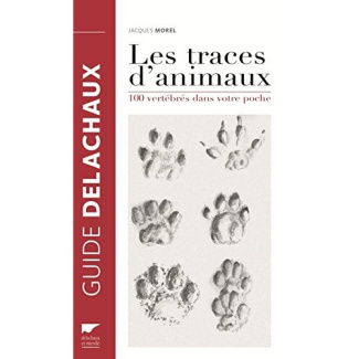 morel-jacques-3b-hainard-robert-les-traces-d-animaux-100-vertebres-dans-votre-poche_0