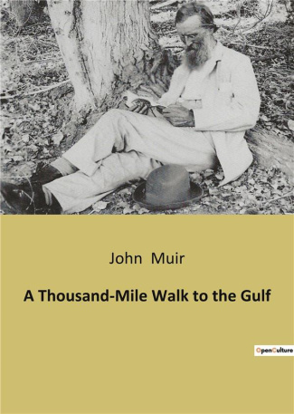 muir-john-a-thousand-mile-walk-to-the-gulf_0
