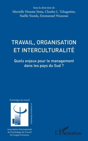 ntsame-sima-murielle-3b-nanda-naelle-3b-tchagneno-ch-travail-organisation-et-interculturalite-quels-enjeux-pour-le-management-dans-les-pays-du-sud_0