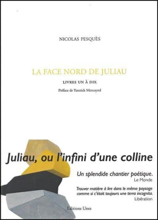 pesques-nicolas-mercoyrol-yannick-la-face-nord-de-juliau-livres-1-a-10_0