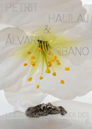 pigeat-anael-halilaj-urbano_0