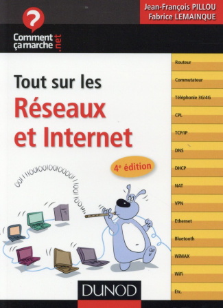 pillou-jean-francois-3b-lemainque-fabrice-tout-sur-les-reseaux-et-internet-4e-edition_0