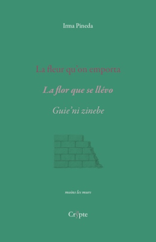 pineda-irma-la-fleur-qu-on-emporta-la-flor-que-se-llevo_0