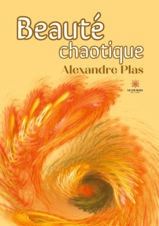 plas-alexandre-beaute-chaotique_0