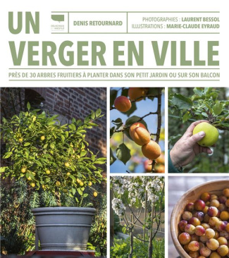 retournard-bessol-un-verger-en-ville-pres-de-30-arbres-fruitiers-a-planter-dans-son-petit-jardin-ou-sur-son-balcon_0
