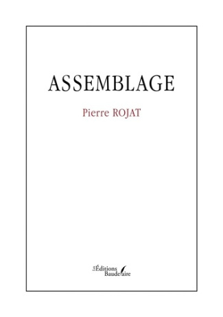 rojat-pierre-assemblage_0