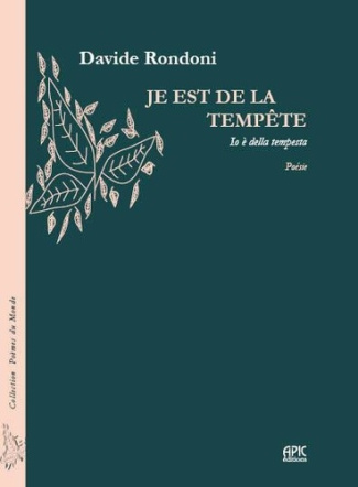 rondoni-davide-je-est-de-la-tempete_0