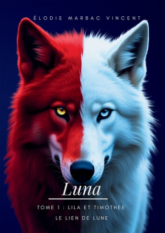 saga-luna-tome-1-lila-et-timothee-le-lien-de-lune_0