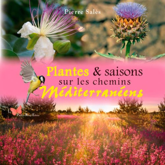 sales-pierre-plantes-saisons-sur-les-chemins-mediterraneens_0