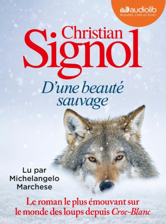 signol-christian-marchese-michelangelo-d-une-beaute-sauvage-livre-audio-1-cd-mp3_0