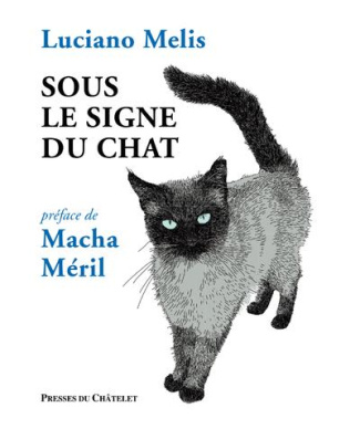 sous-le-signe-du-chat_0