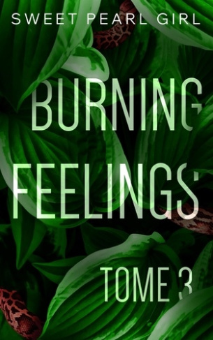 sweet-pearl-girl-burning-feelings-tome-3_0