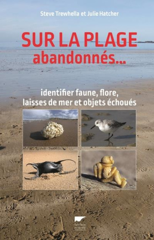 trewhella-steve-3b-hatcher-julie-3b-richard-denis-sur-la-plage-abandonnes-identifier-faune-flore-laisses-de-mer-objets-echoues_0