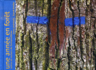 une-annee-en-foret-arbres-et-rochers-de-fontainebleau_0