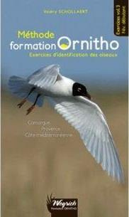 v-schollaert-camargue-provence-cote-mediterraneenne-methode-formation-ornitho-exercices_0