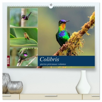 wohlke-jurgen-colibris-pierres-precieuses-volantes-calendrier-mural-2026-din-a2-vertical-calendrier-de-bureau_0
