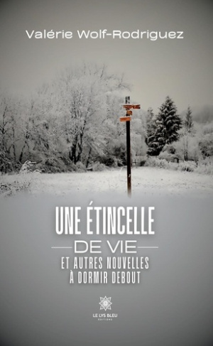 wolf-rodriguez-valerie-une-etincelle-de-vie-et-autres-nouvelles-a-dormir-debout_0