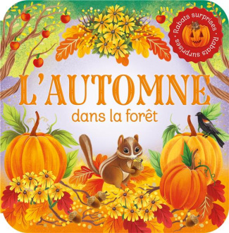 xxx-rabats-surprises-l-automne-dans-la-foret_0