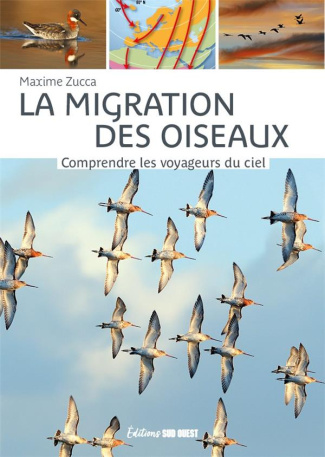 zucca-maxime-3b-merienne-patrick-3b-dussuchal-anne-la-migration-des-oiseaux-comprendre-les-voyageurs-du-ciel-4e-edition-revue-et-augmentee_0