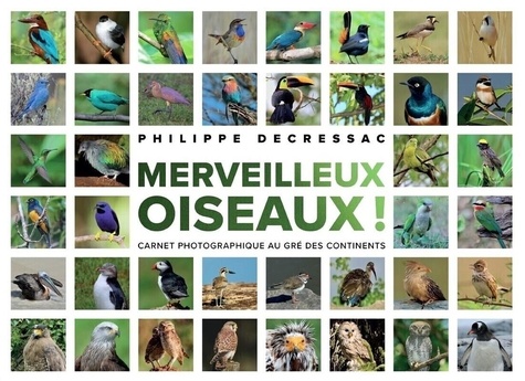 Merveilleux oiseaux ! Carnet photographique au gré des continents